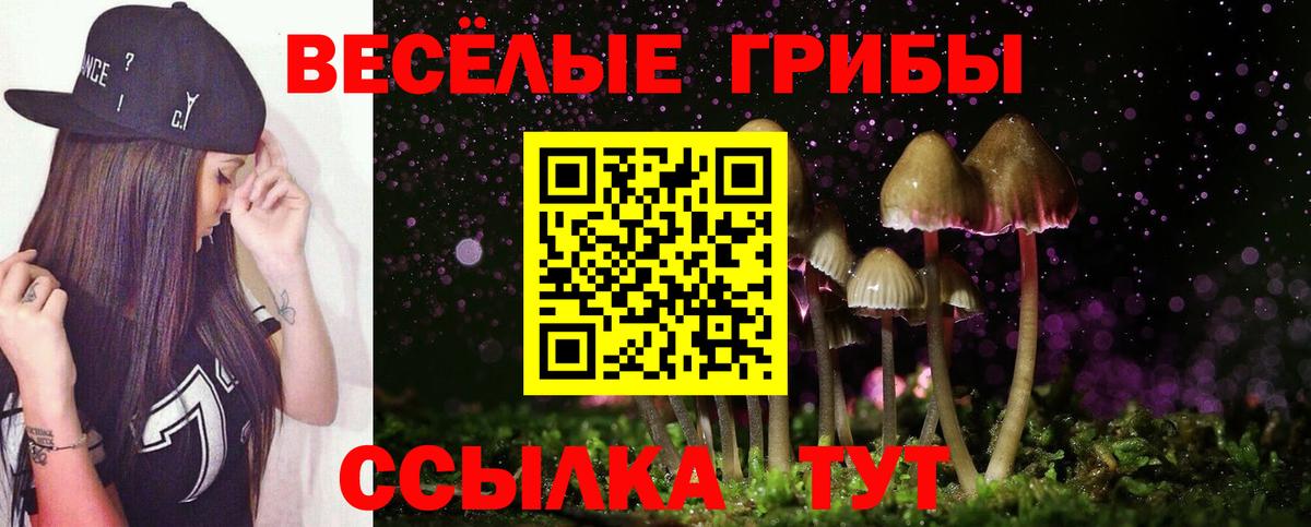 Псилоцибиновые грибы Magic Shrooms Рассказово