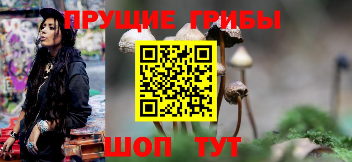 дарнет шоп  Псилоцибиновые грибы ЛСД  Вход с VPN  Рассказово 